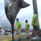 Video News Release – Hawaii Billfish